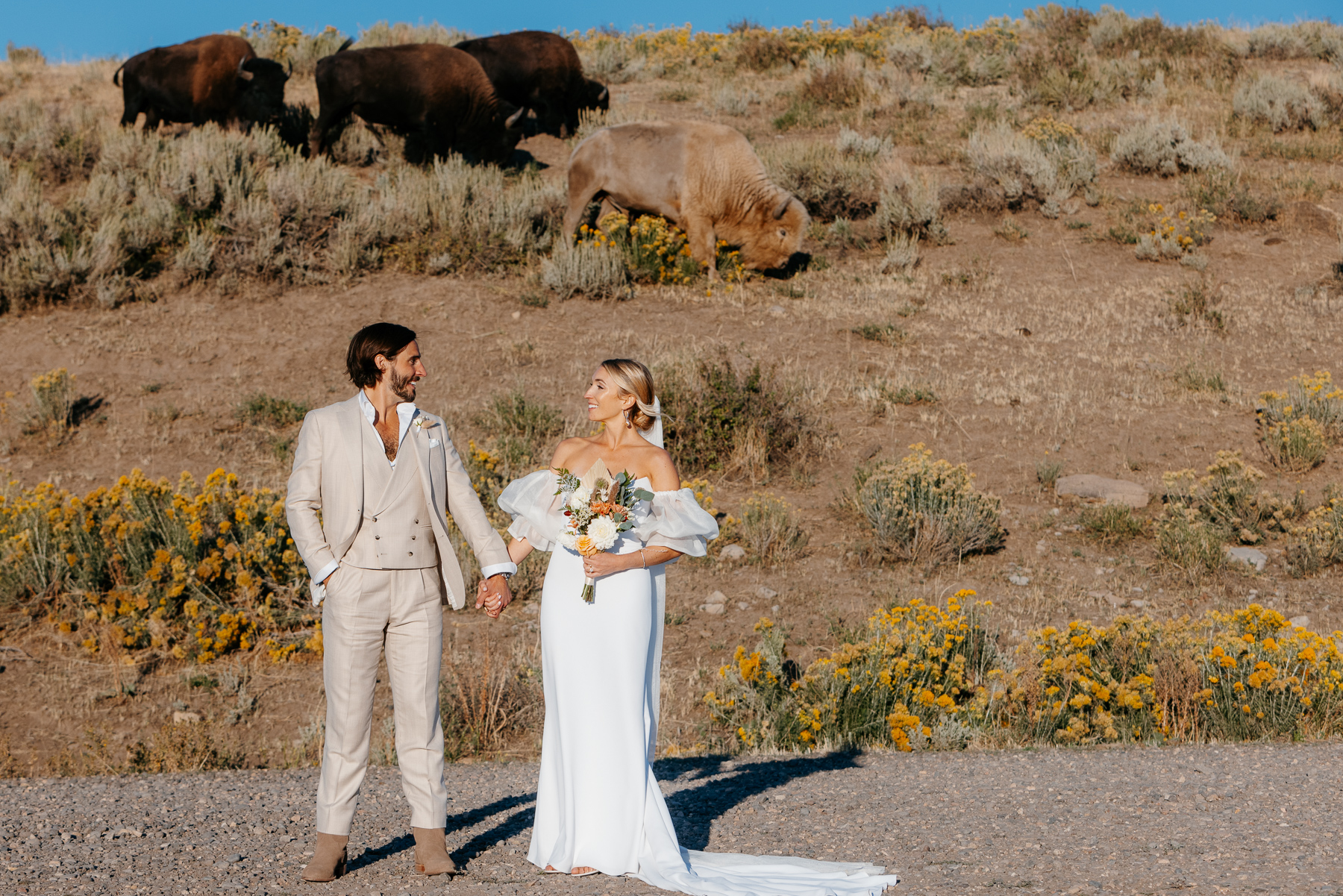Steamboat buffalo ranch wedding colorado photographer